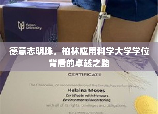 探索柏林应用科学大学的璀璨荣耀，德国教育的明珠之路