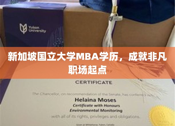 新加坡国立大学MBA学历，成就非凡职场起点