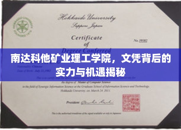 南达科他矿业理工学院，文凭背后的实力与机遇揭秘