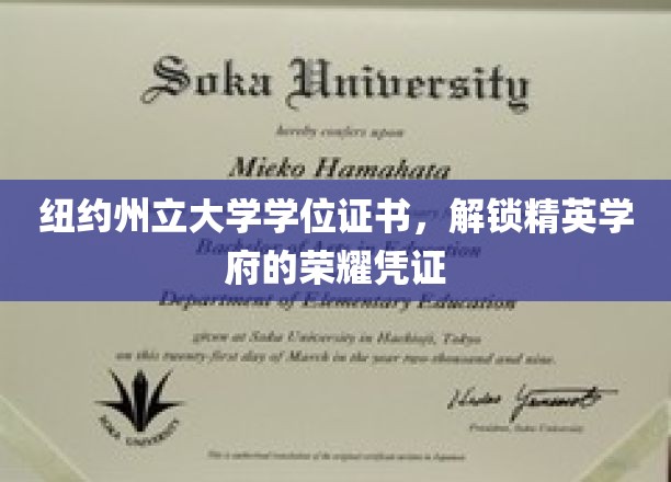 纽约州立大学学位证书，彰显精英学府的荣耀凭证