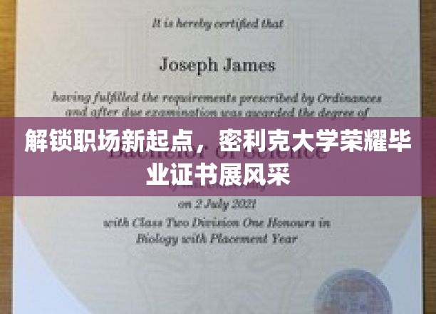 职场新篇章启航，密利克大学毕业生荣耀证书闪耀登场