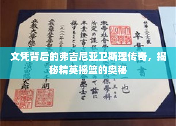 文凭背后的弗吉尼亚卫斯理传奇，揭秘精英摇篮的奥秘