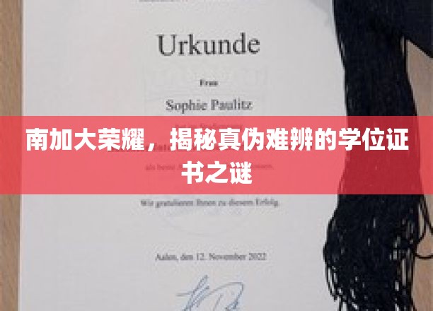 南加大光环下的真假学位迷局，揭秘学历认证的隐秘世界