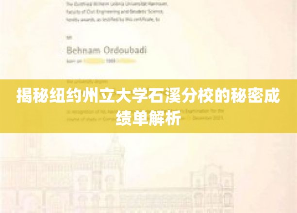 揭秘纽约州立大学石溪分校的秘密成绩单解析