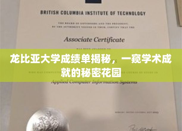 龙比亚大学成绩单揭秘，一窥学术成就的秘密花园