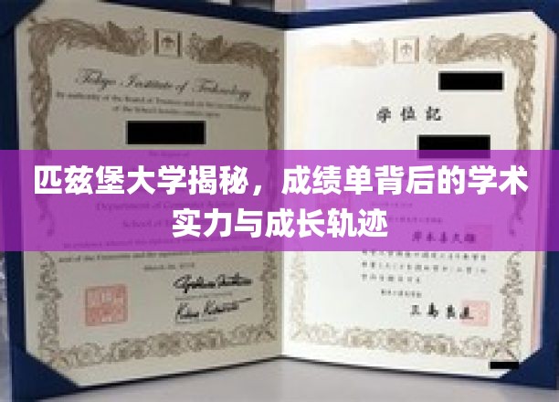 解码匹兹堡大学，成绩单背后的学术盛宴与青春足迹
