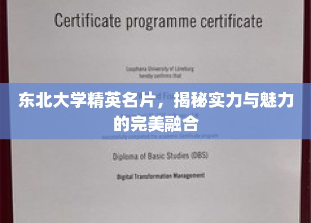 东北精英风采，东北大学实力与魅力双翼齐飞