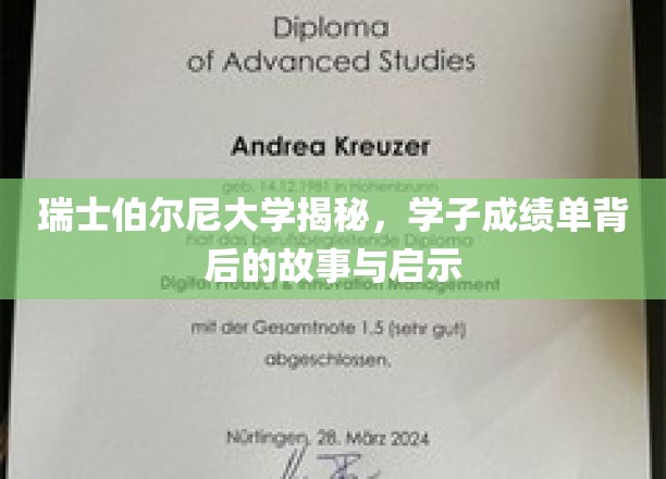 瑞士伯尔尼大学揭秘，学子成绩单背后的故事与启示