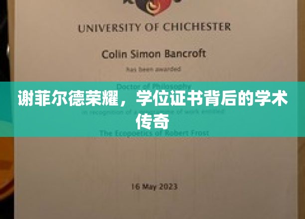 谢菲尔德荣耀，学位证书背后的学术璀璨之旅