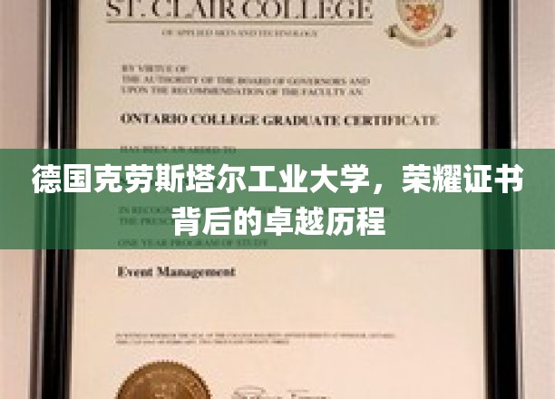 德国克劳斯塔尔工业大学，荣耀证书映照下的非凡成就之路