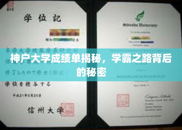 探寻神户大学学霸秘籍，揭秘卓越成绩背后的不凡历程