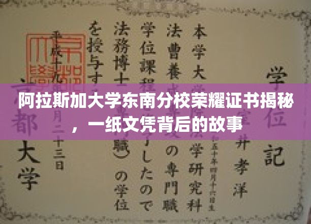 阿拉斯加大学东南分校荣誉证书背后，探寻一纸文凭的传奇历程