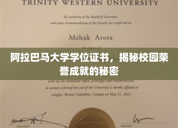 解锁阿拉巴马大学荣誉成就背后的学位证书奥秘