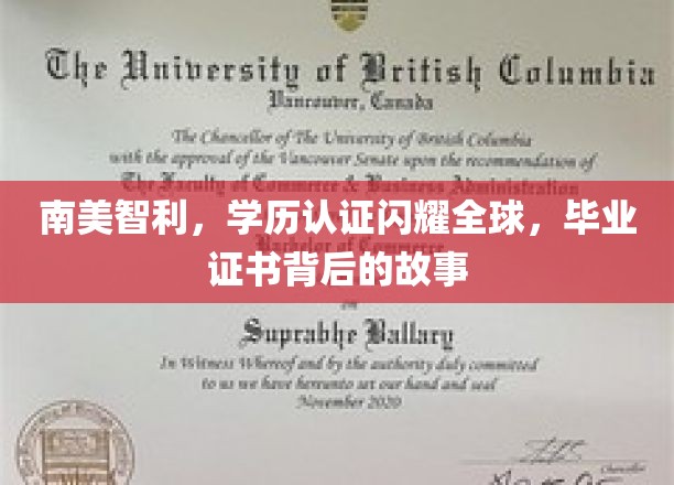 智利学历认证全球瞩目，揭秘毕业证书背后的辉煌历程