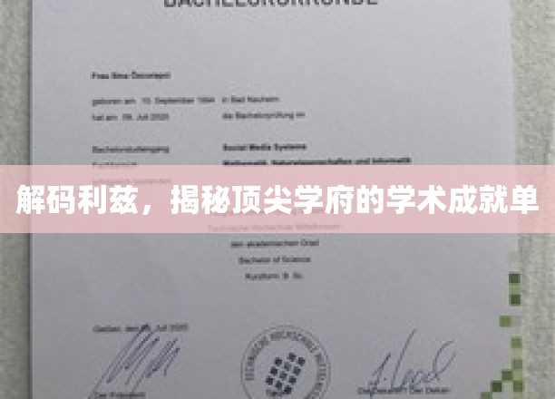 解锁利兹大学，探秘精英学府的智慧宝藏