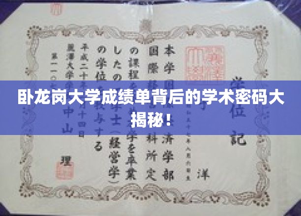 揭秘卧龙岗大学成绩单背后的学术密码！