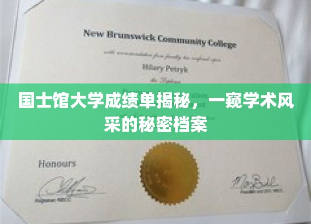 国士馆大学成绩单揭秘，揭秘学术风采背后的神秘档案