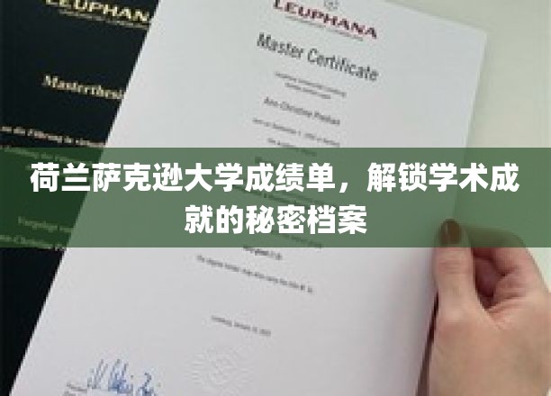 揭开荷兰萨克逊大学学子卓越成就的神秘面纱