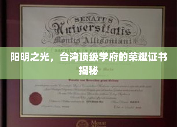 阳明之光，台湾顶级学府的荣耀证书揭秘