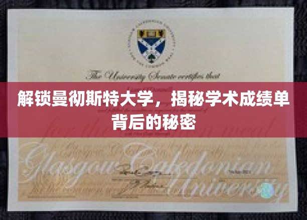 解码曼大荣耀，一探成绩单背后的学术奥秘