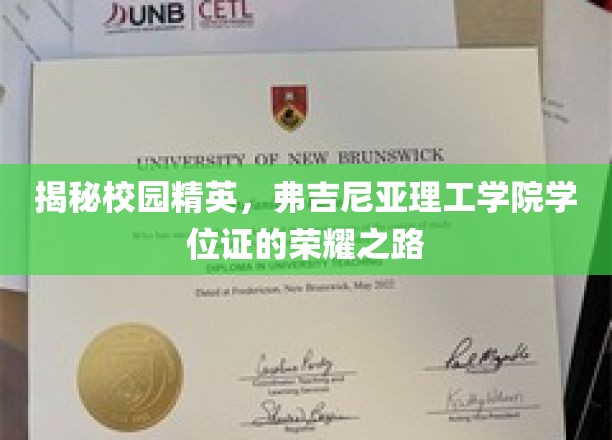 解码弗吉尼亚理工学院，学位证的璀璨征程