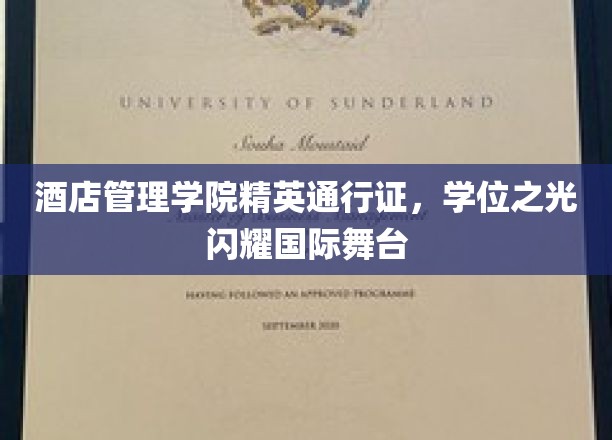 酒店管理学院精英通行证，学位之光闪耀国际舞台