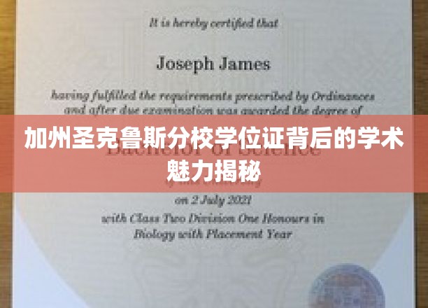 解码加州圣克鲁斯分校，学位证书背后的独特学术风采