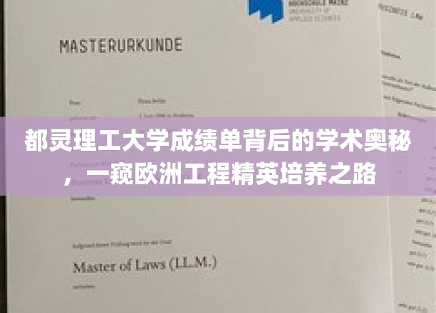 都灵理工大学成绩单背后的学术奥秘，一窥欧洲工程精英培养之路