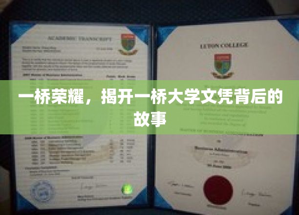 一桥传奇，探寻名校文凭背后的辉煌篇章