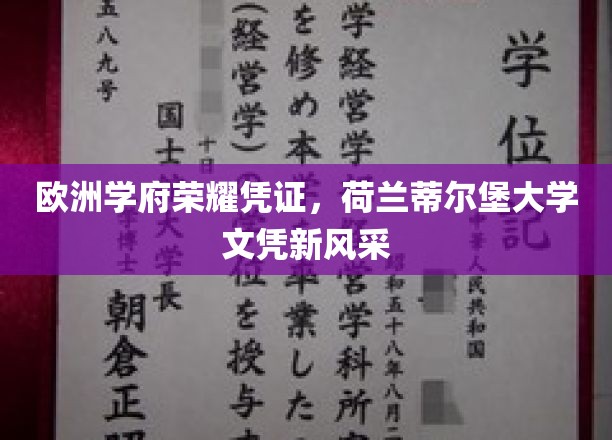 欧洲学府荣耀凭证，荷兰蒂尔堡大学文凭新风采