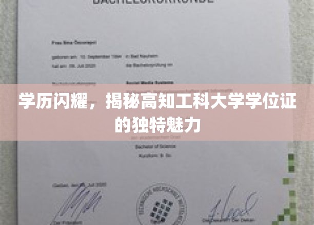 学历闪耀，揭秘高知工科大学学位证的独特魅力