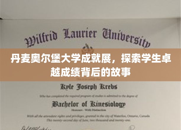 丹麦奥尔堡大学荣耀瞬间，揭秘卓越学子的非凡历程