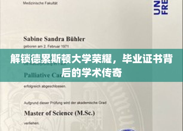 解锁德累斯顿大学荣耀，毕业证书背后的学术传奇