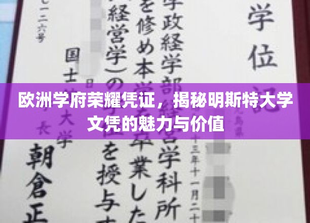 欧洲精英教育的通行证，探寻明斯特大学文凭的独特魅力