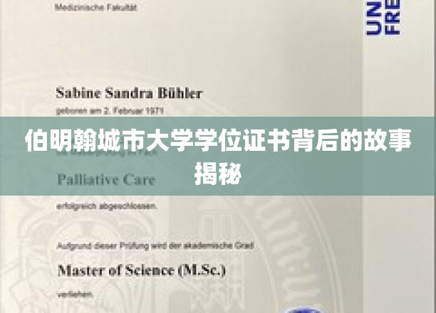 伯明翰城市大学学位证书背后的故事揭秘
