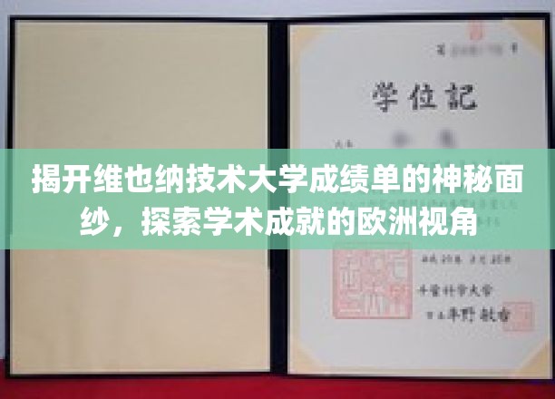 欧洲学府探秘，维也纳技术大学成绩单背后的学术奥秘