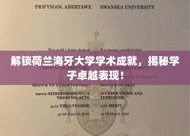 解锁荷兰海牙大学学术成就,揭秘学子卓越表现!