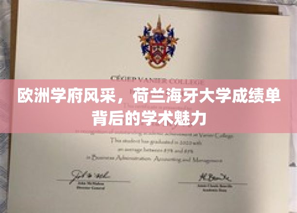 欧洲学府风采，荷兰海牙大学成绩单背后的学术魅力