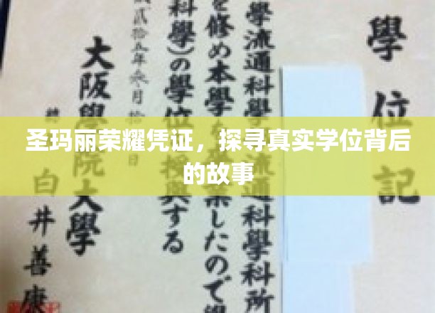 圣玛丽荣耀证书，揭秘真实学位背后的故事