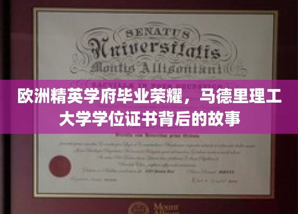 解码马德里理工大学荣耀，探索精英毕业生背后的学位传奇