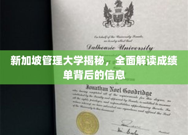 解码新加坡管理大学，成绩单背后的深层奥秘