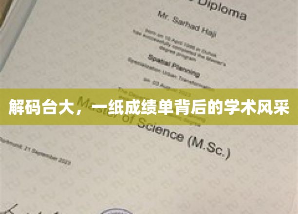 台大之光，成绩单背后，探寻学术风华之谜
