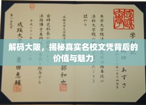 探秘大阪名校，文凭背后的深层价值与独特魅力