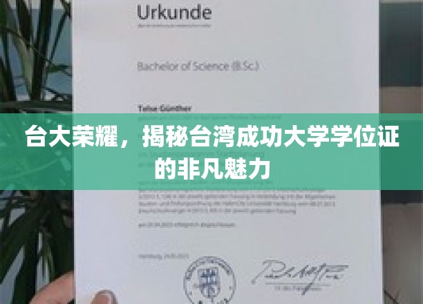 解码台大荣耀，探索台湾成功大学学位证的独特魅力