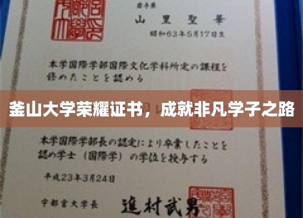 釜山大学荣誉证书，见证非凡学子成就之路