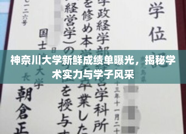 神奈川大学成绩单大公开，一窥学术风采与学子实力全貌