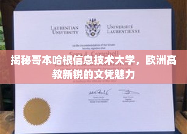 揭秘哥本哈根信息技术大学，欧洲高教新锐的文凭魅力