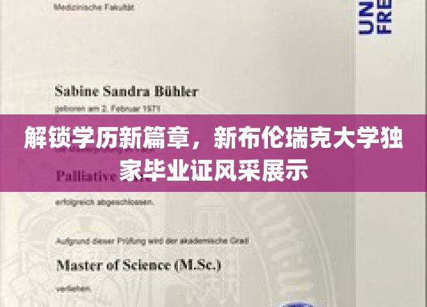 解锁学历新篇章，新布伦瑞克大学独家毕业证风采展示