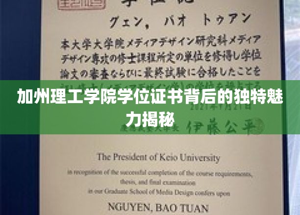 加州理工学院学位证书背后的独特魅力揭秘