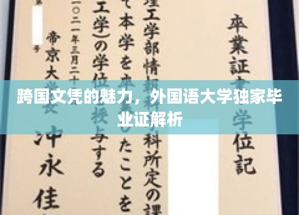 解码全球通行证，外国语大学独门文凭揭秘